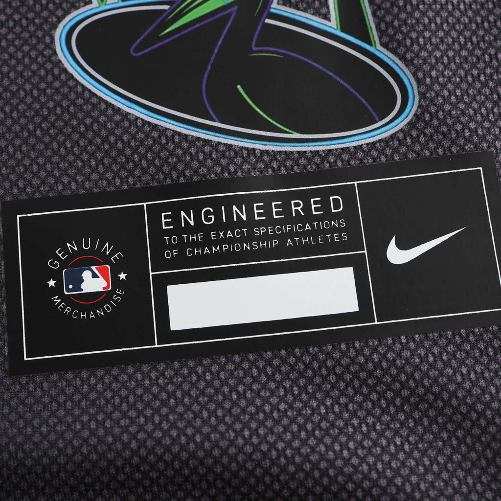 TB Rays Jersey City Connect