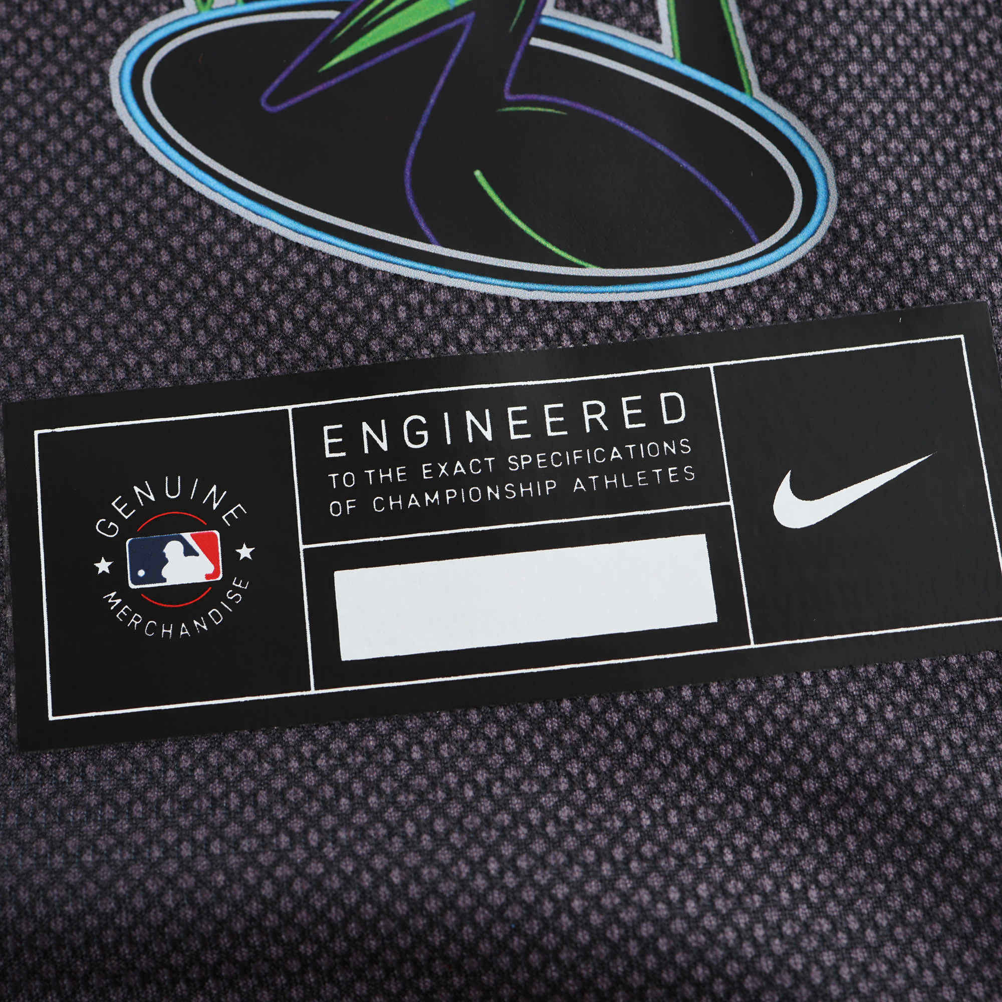 TB Rays Jersey City Connect