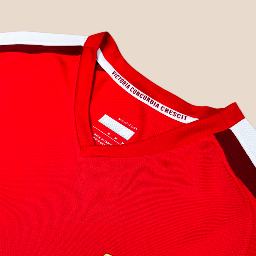 Arsenal 2008/09 Local