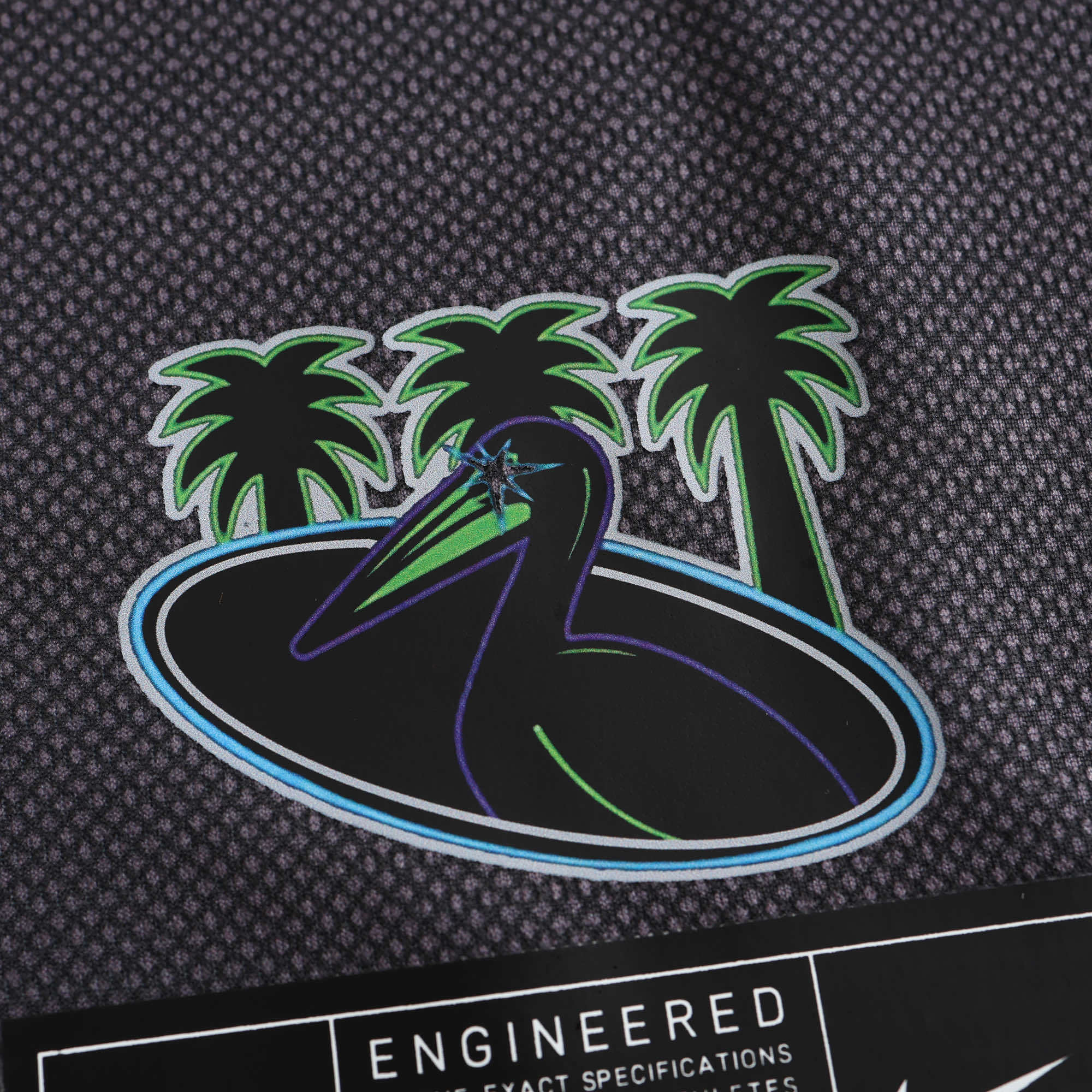 TB Rays Jersey City Connect