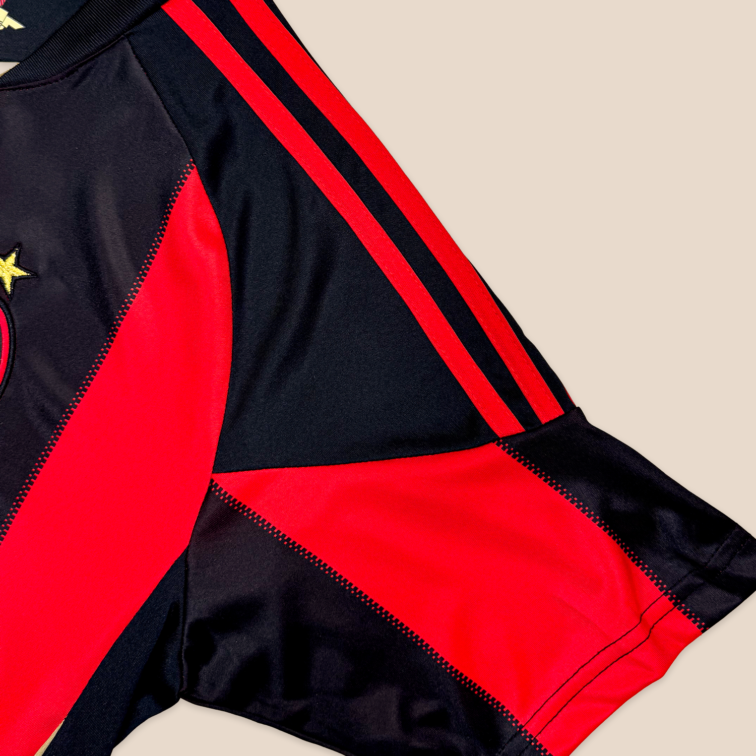 AC Milan 2010/11 Local