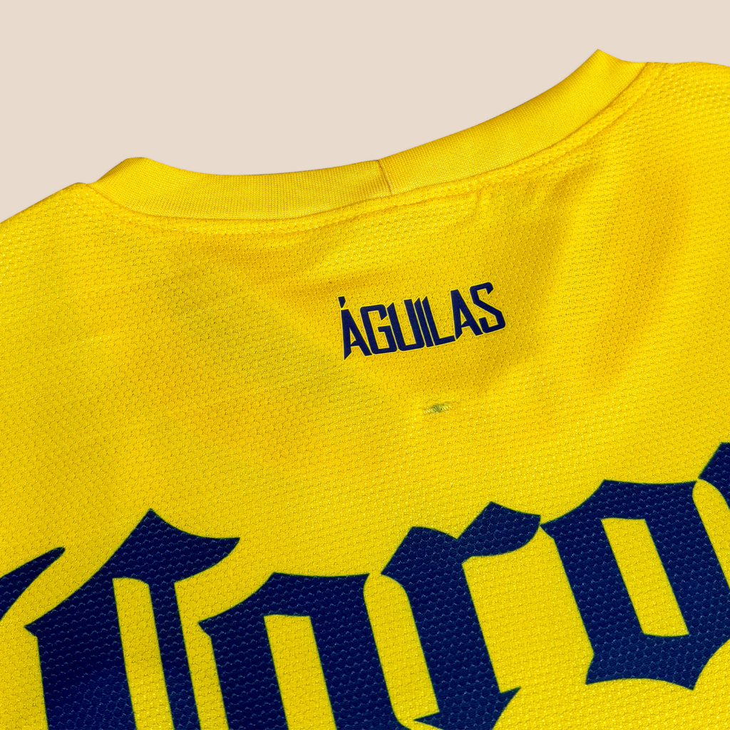 América 2012/13 Local