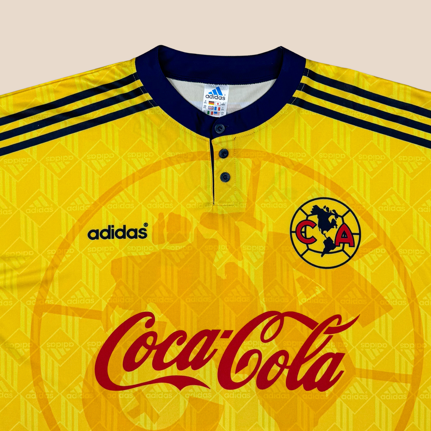América 1998/99 Local