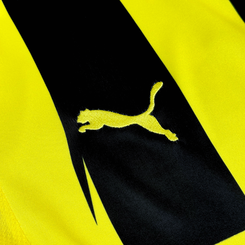 Borussia Dortmund 2012/13 Local