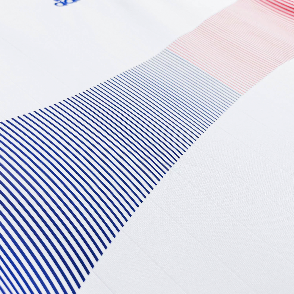 Francia 2006 Visitante