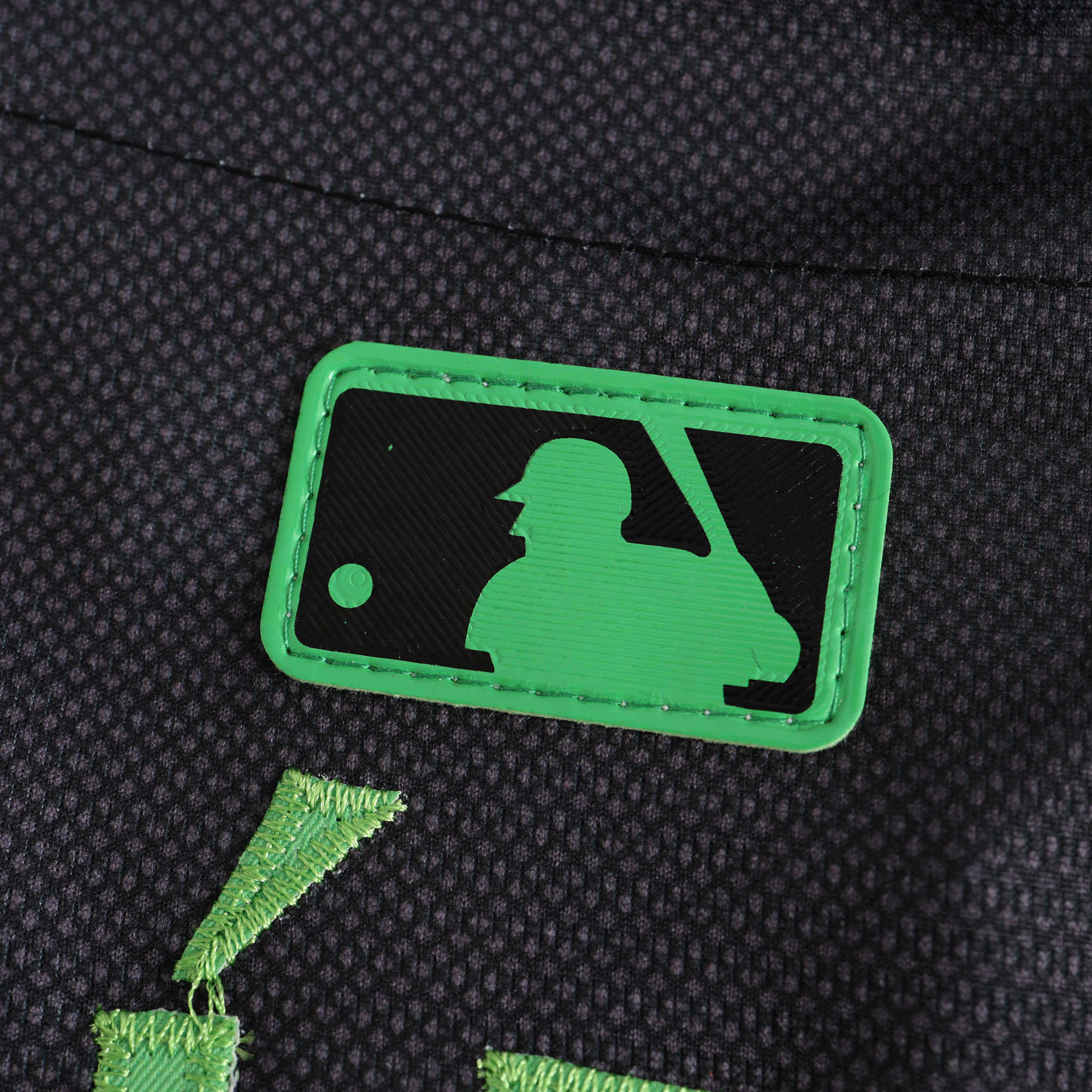 TB Rays Jersey City Connect