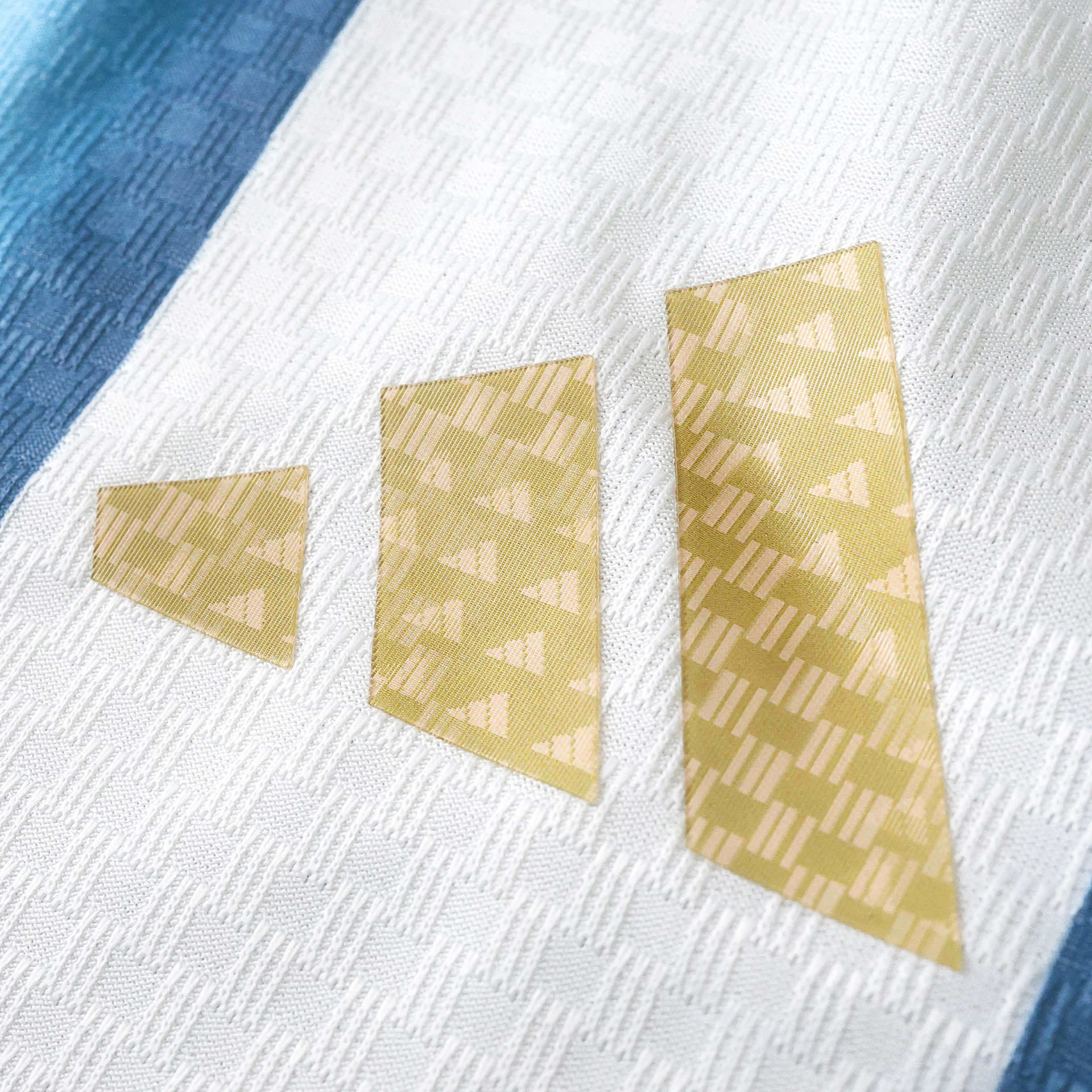 Argentina 2025/26 Local Versión Jugador