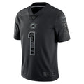 MIA Dolphins RFLCTV Limited