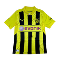 Borussia Dortmund 2012/13 Local